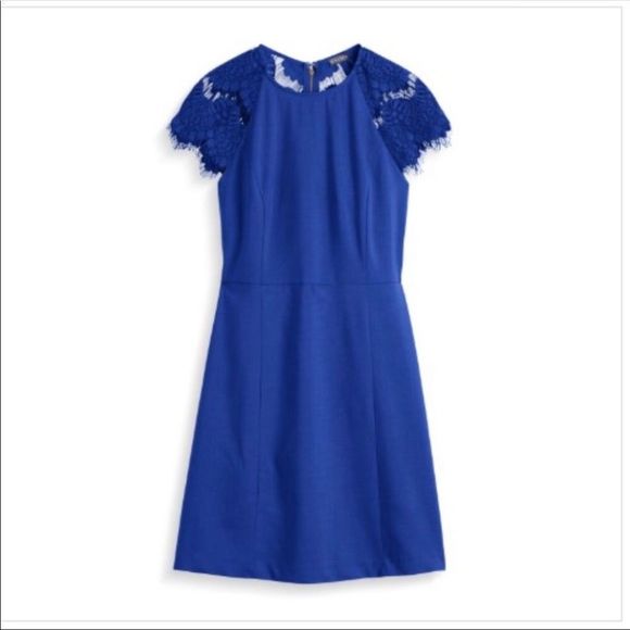 Brixton Ivy Cobalt Blue Lace Tenley Cap Sleeve Dress StitchFix NWT size XL - Picture 1 of 13